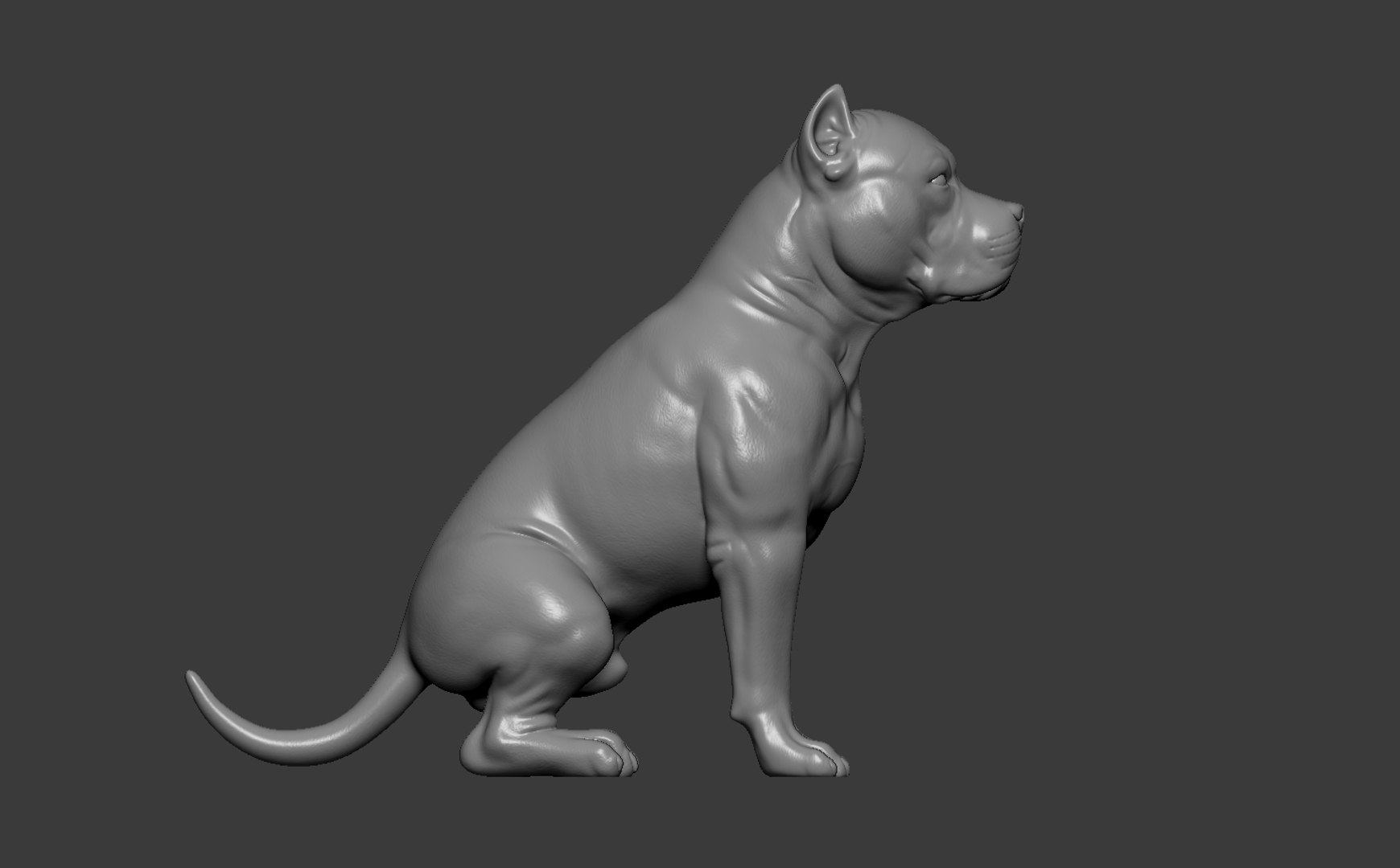 American Bully Pitbull Muscle Dog 3D model https://p.turbosquid.com/ts-thumb/Z1/lw6IGX/M2/9/jpg/1773268533/1920x1080/fit_q87/0f7704e1df80d85eb06fc980c7c017888746f734/9.jpg