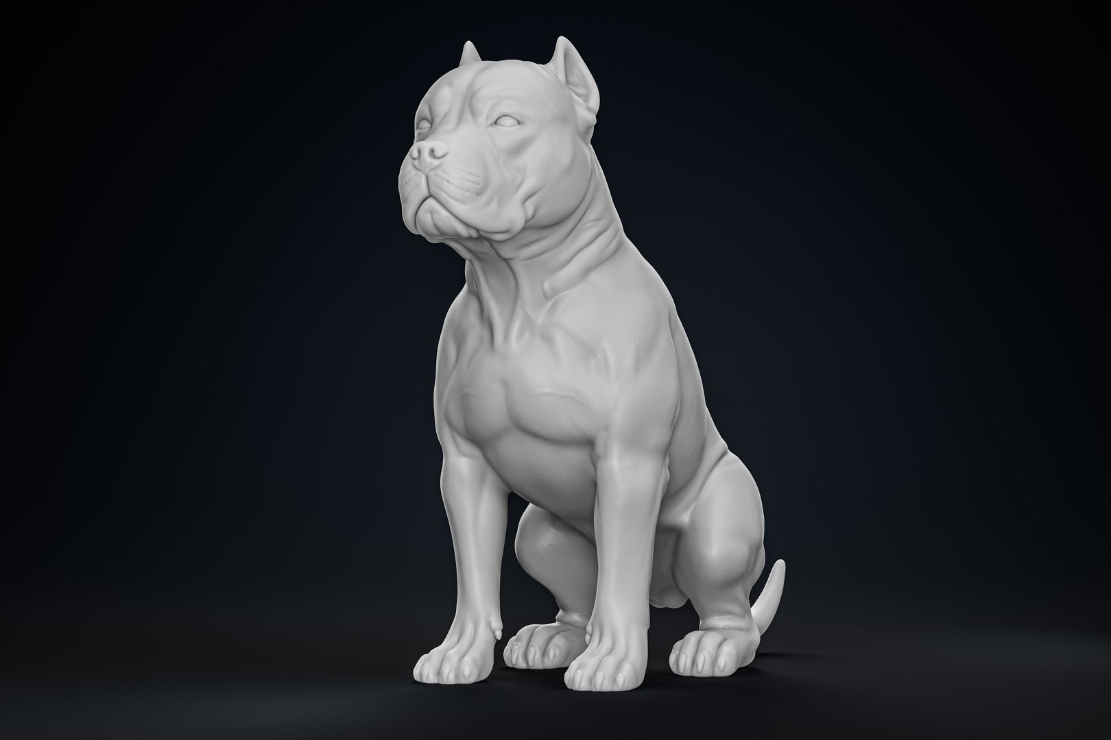 American Bully Pitbull Muscle Dog 3D model https://p.turbosquid.com/ts-thumb/Z1/lw6IGX/T6/5/jpg/1773268533/1920x1080/fit_q87/f856a3eda42416576fb2b3e033903479f601389a/5.jpg