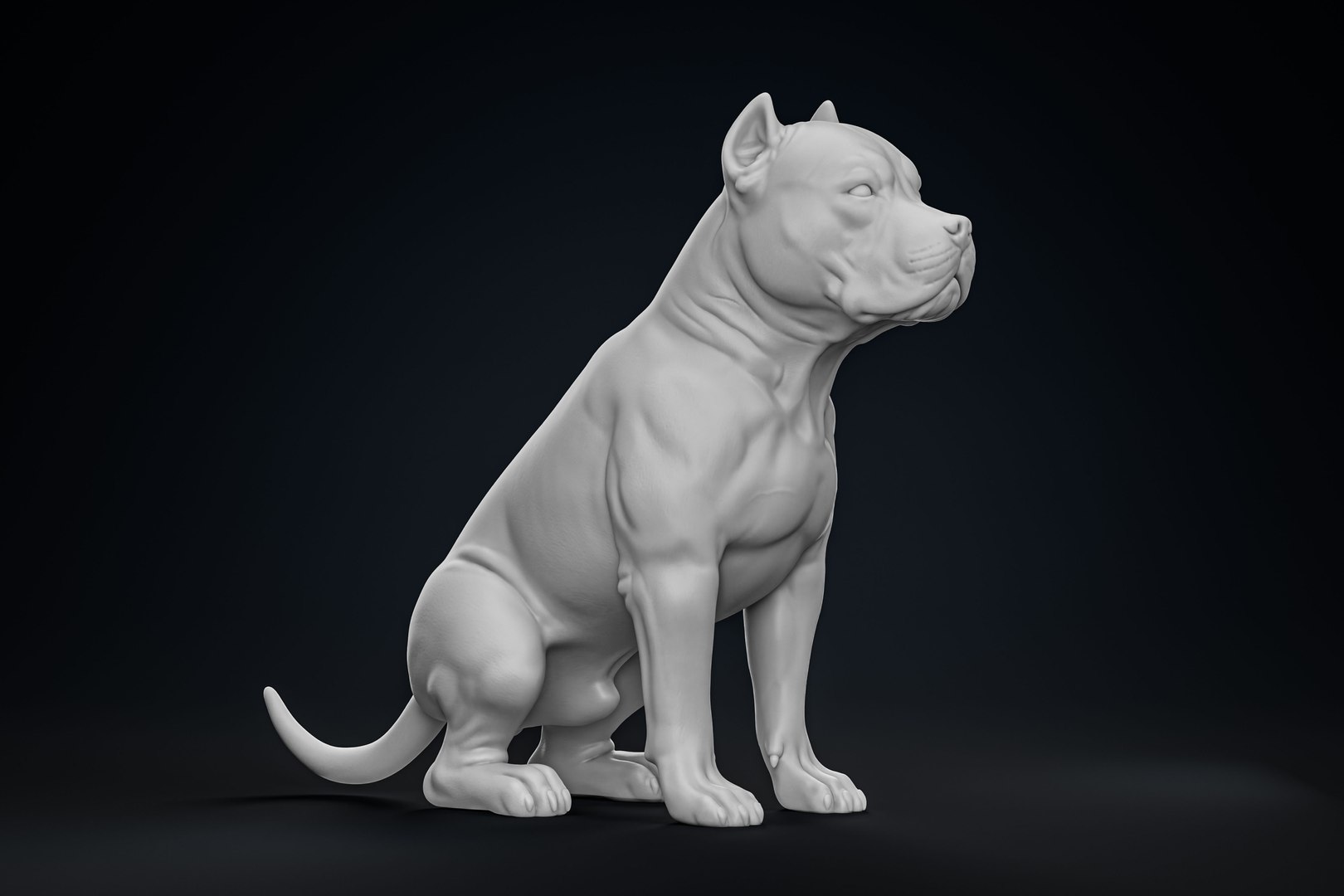 American Bully Pitbull Muscle Dog 3D model https://p.turbosquid.com/ts-thumb/Z1/lw6IGX/Vu/1/jpg/1773268527/1920x1080/fit_q87/e2734eea1fb9e2535ee7783e1a5cae68afc5b2ca/1.jpg