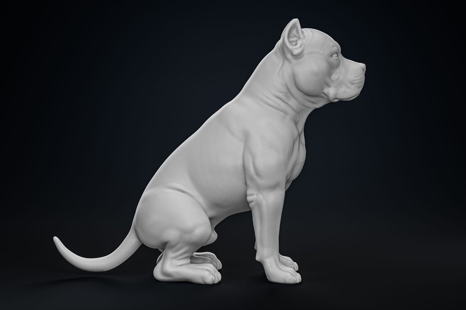 American Bully Pitbull Muscle Dog 3D model https://p.turbosquid.com/ts-thumb/Z1/lw6IGX/Yu/3/jpg/1773268531/1920x1080/fit_q87/836330acbcfbec53a3ed986b97e25c95e451c0d9/3.jpg
