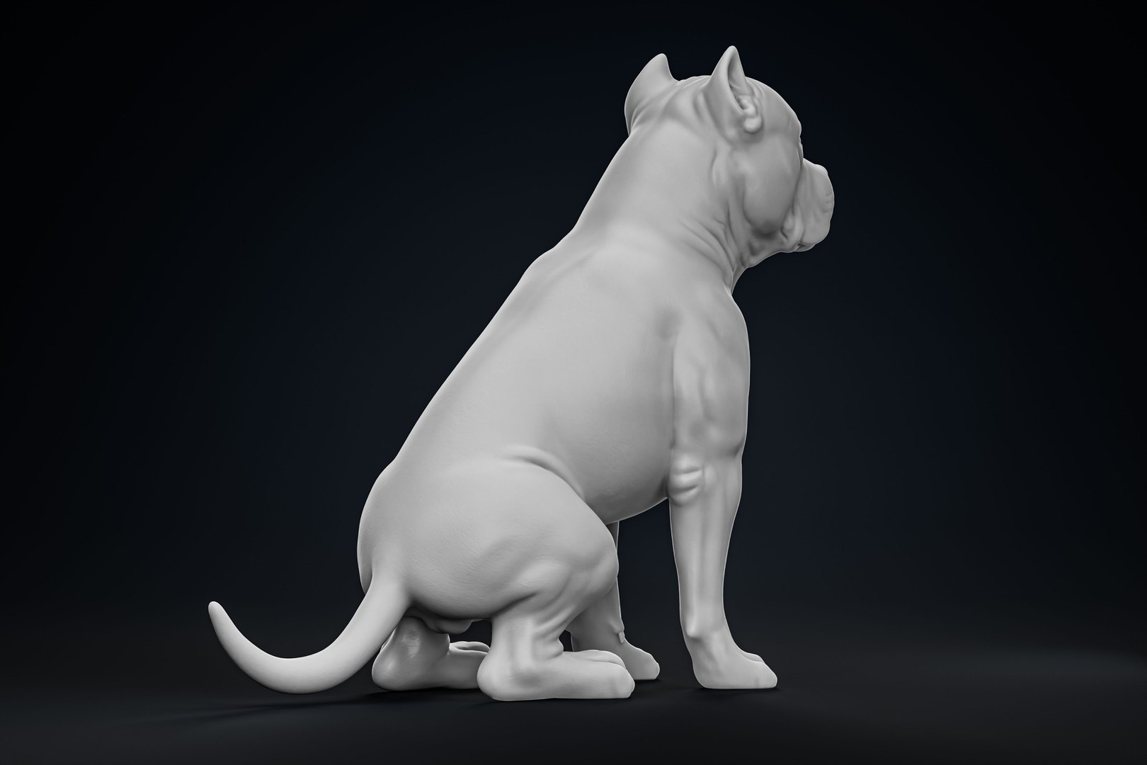 American Bully Pitbull Muscle Dog 3D model https://p.turbosquid.com/ts-thumb/Z1/lw6IGX/fK/4/jpg/1773268531/1920x1080/fit_q87/f4b566edb924a16907cdbfbd5af8e8a25e0aab8a/4.jpg