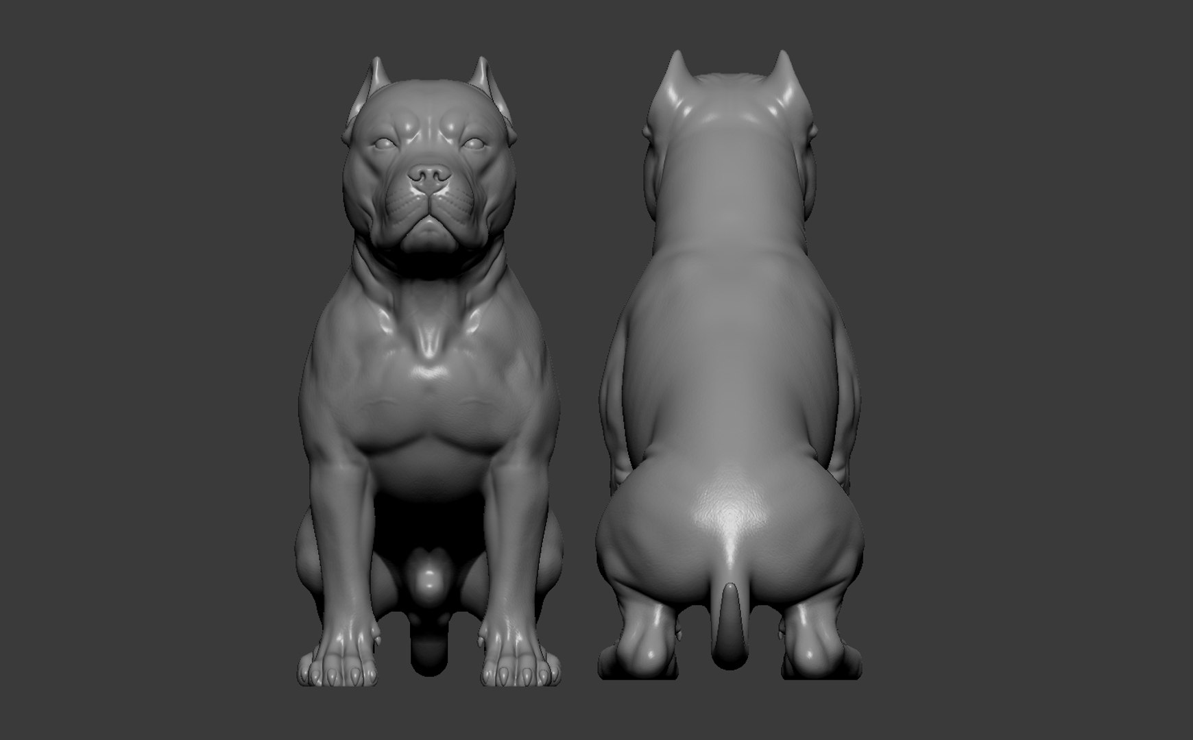 American Bully Pitbull Muscle Dog 3D model https://p.turbosquid.com/ts-thumb/Z1/lw6IGX/w3/13/jpg/1773268522/1920x1080/fit_q87/e9a18b2dd4fac2e17de78c8f4f67fb2497d521d3/13.jpg