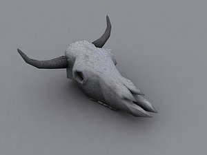 cowskull low2