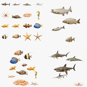 Complete Aquatic Collection - 18 Rigged and Animated Fish and Sea Animals PBR