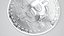 Bitcoin Silver