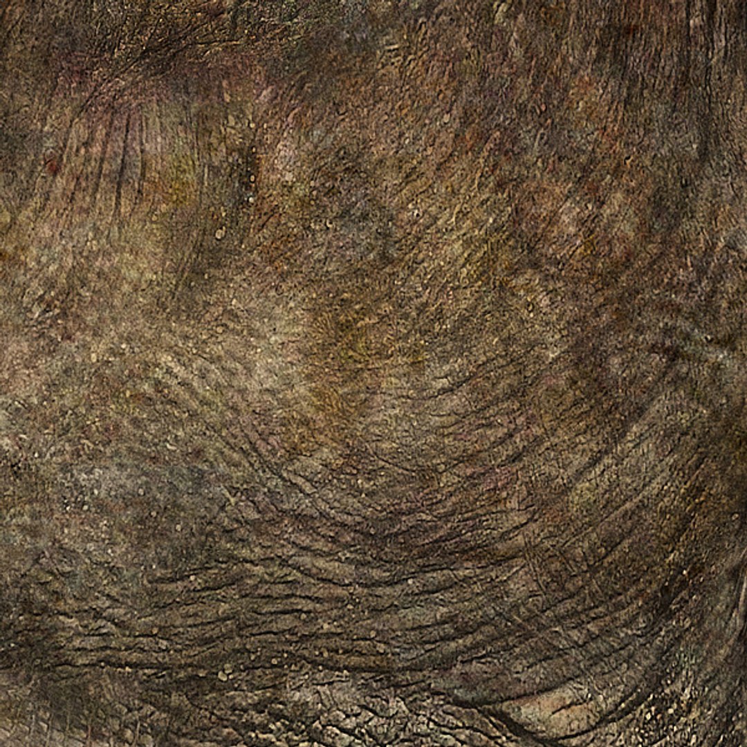 obj t-rex details https://p.turbosquid.com/ts-thumb/Z2/0XjXor/VGU3k3pr/trex7/jpg/1300887758/1920x1080/fit_q87/bcda5697df1d9fc6514d80107fba228eb42d9675/trex7.jpg