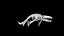 Mosasaurus skeleton