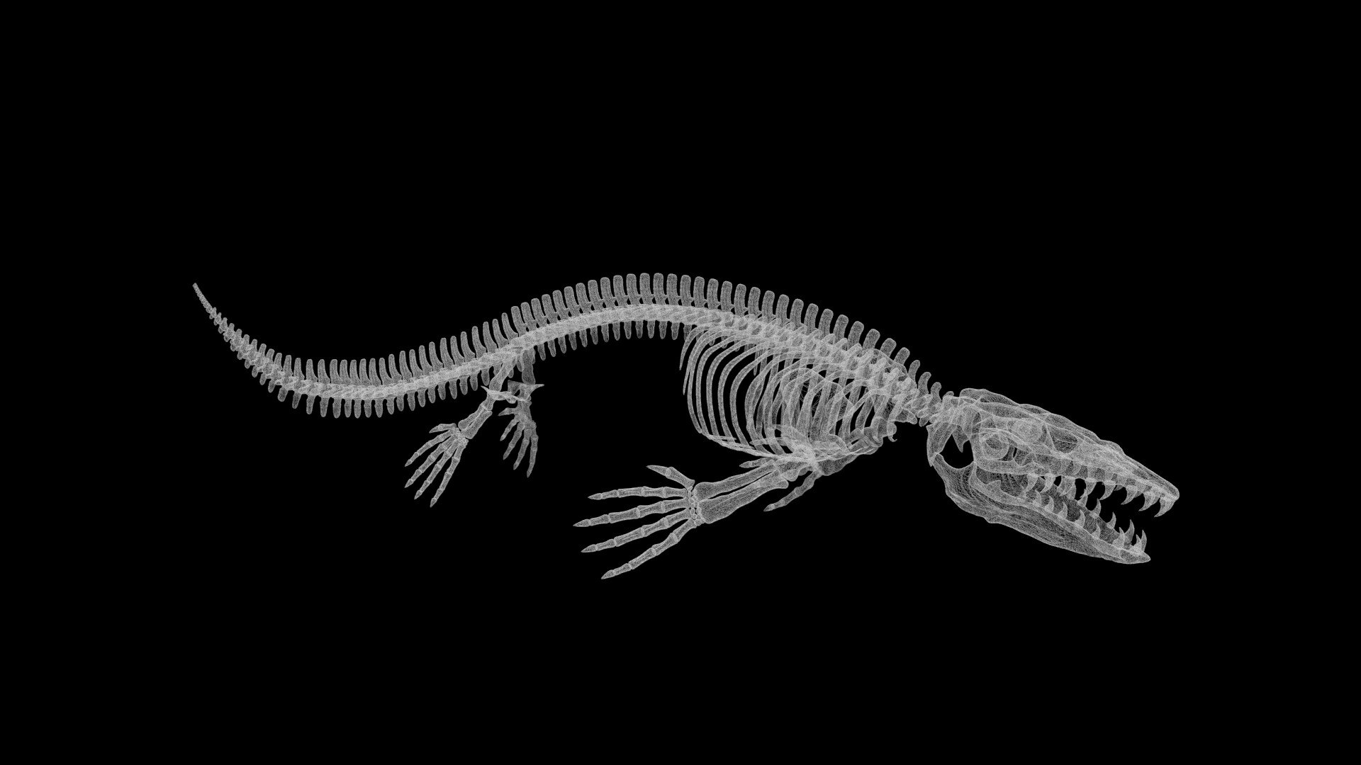 Mosasaurus Skeleton Model - TurboSquid 1885076