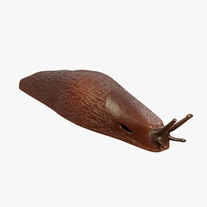 3D Slug - Orange  Brown