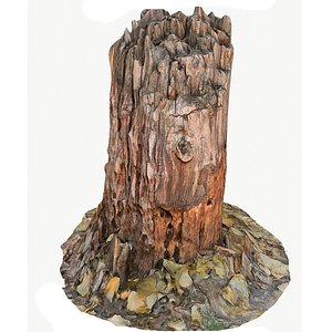 3D scan bpr tree stump model