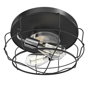 Gauge Collection Two-Light Flush Mount By Progress Lighting 3D
