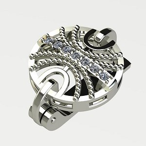 White Gold Earring
