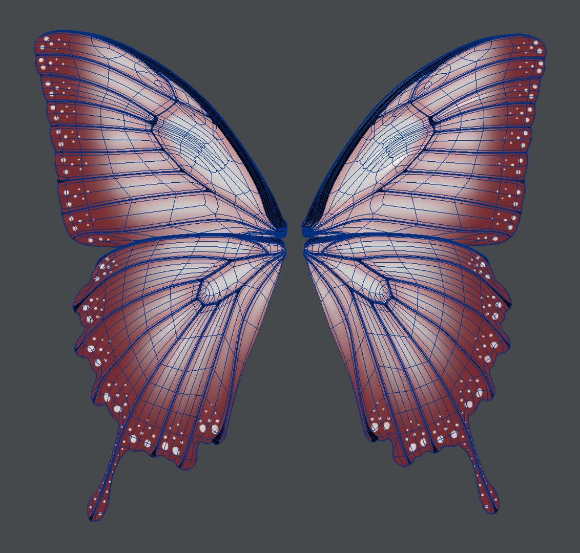 Butterfly b