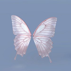 Fairy or Butterfly Wing Set B