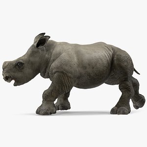Baby Rhino Rigged for Modo