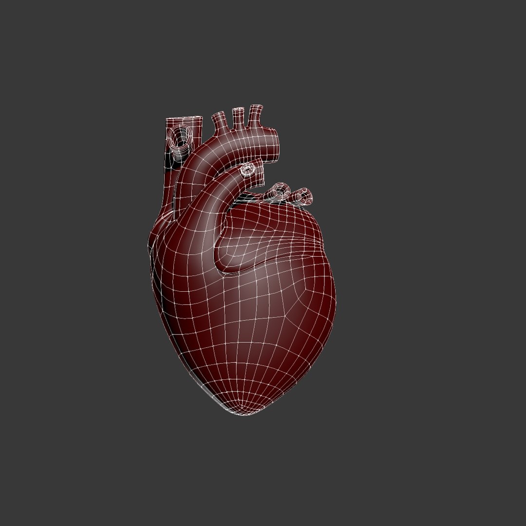 Human Heart Max