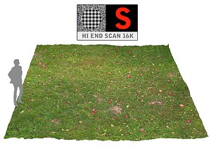 max lawn apple orchard ground