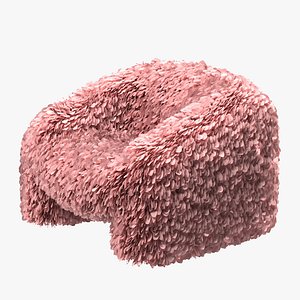 3D Moooi Hortensia Armchair