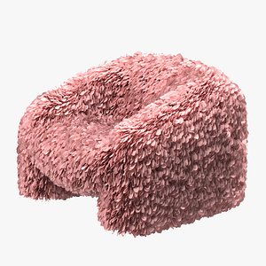 Moooi Hortensia Armchair