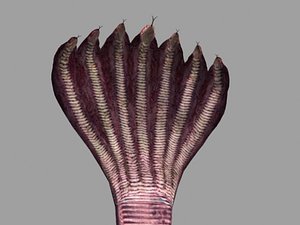 3D rig sheshnaag model