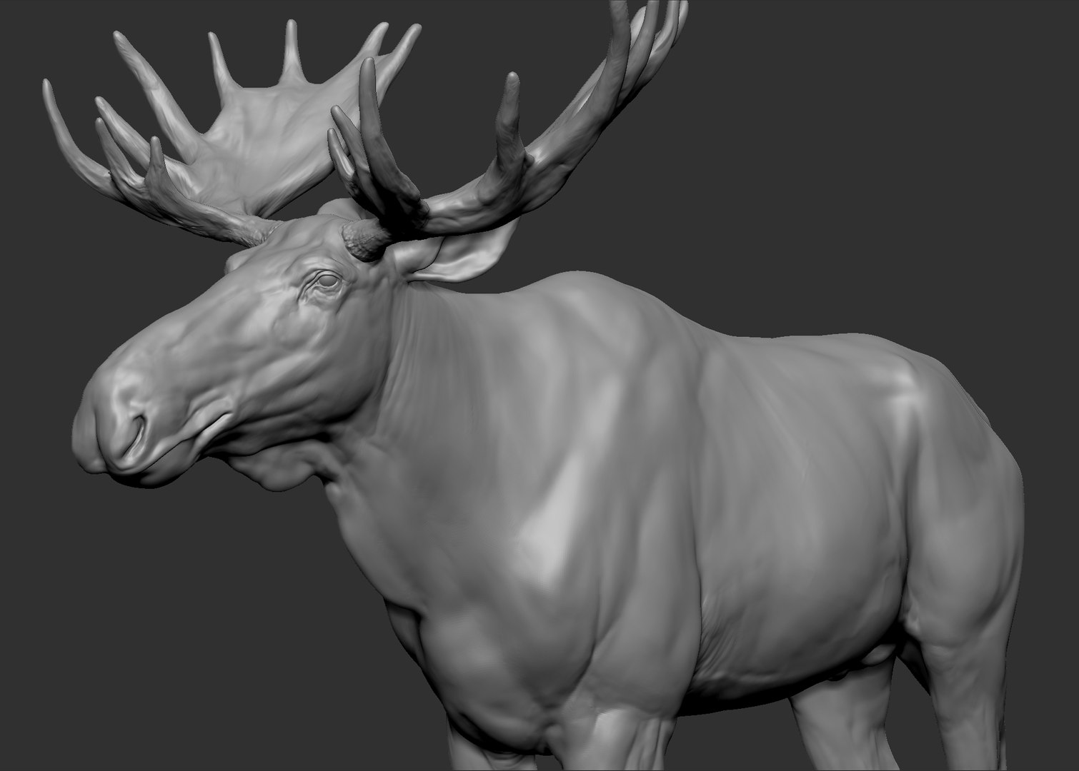 3D Moose Ztl Zbrush Model - TurboSquid 1398465