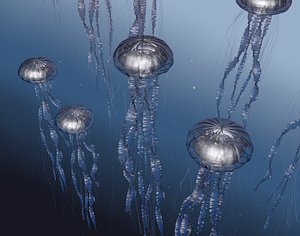 3D jellyfish fish