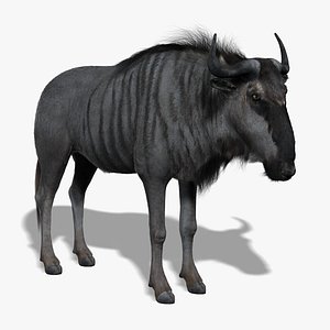 Wildebeest (FUR)