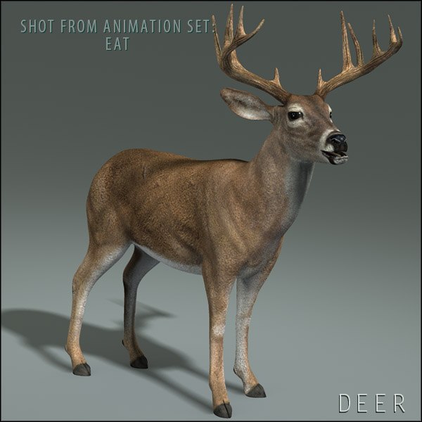 deer animation 3d model
