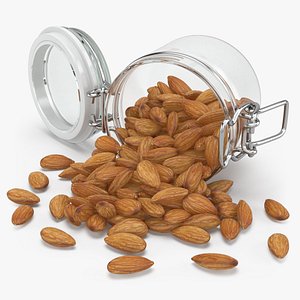 3D Almond Nuts Glass Jar