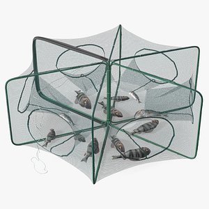 Automatic Pop-Up Fishing Trap and Captured Fish