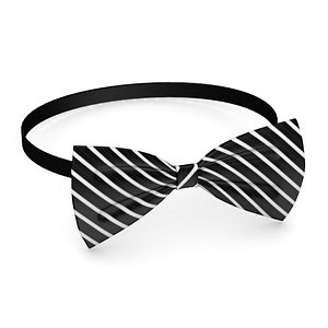 bowtie4