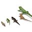 3d rigged lizards chameleon iguana