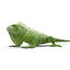 3d rigged lizards chameleon iguana
