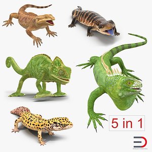3d rigged lizards chameleon iguana