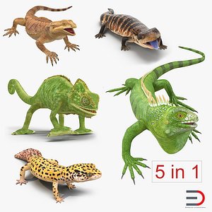 Rigged Lizards 3D Models Collection