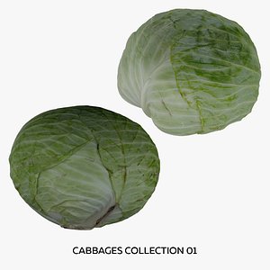 3D Cabbages Collection 01 - 2 models RAW Scans