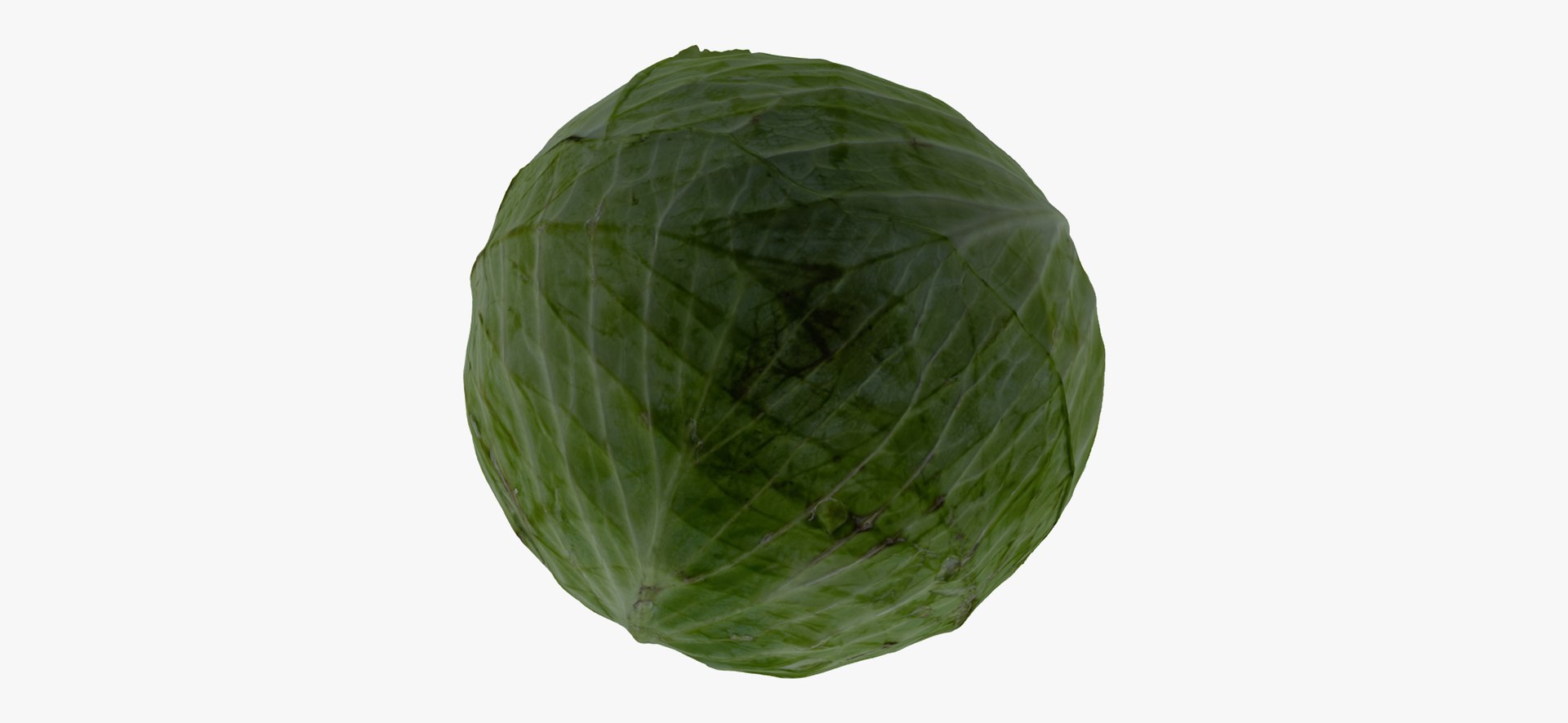 3D Cabbages Collection 01 - 2 Models RAW Scans - TurboSquid 1877837