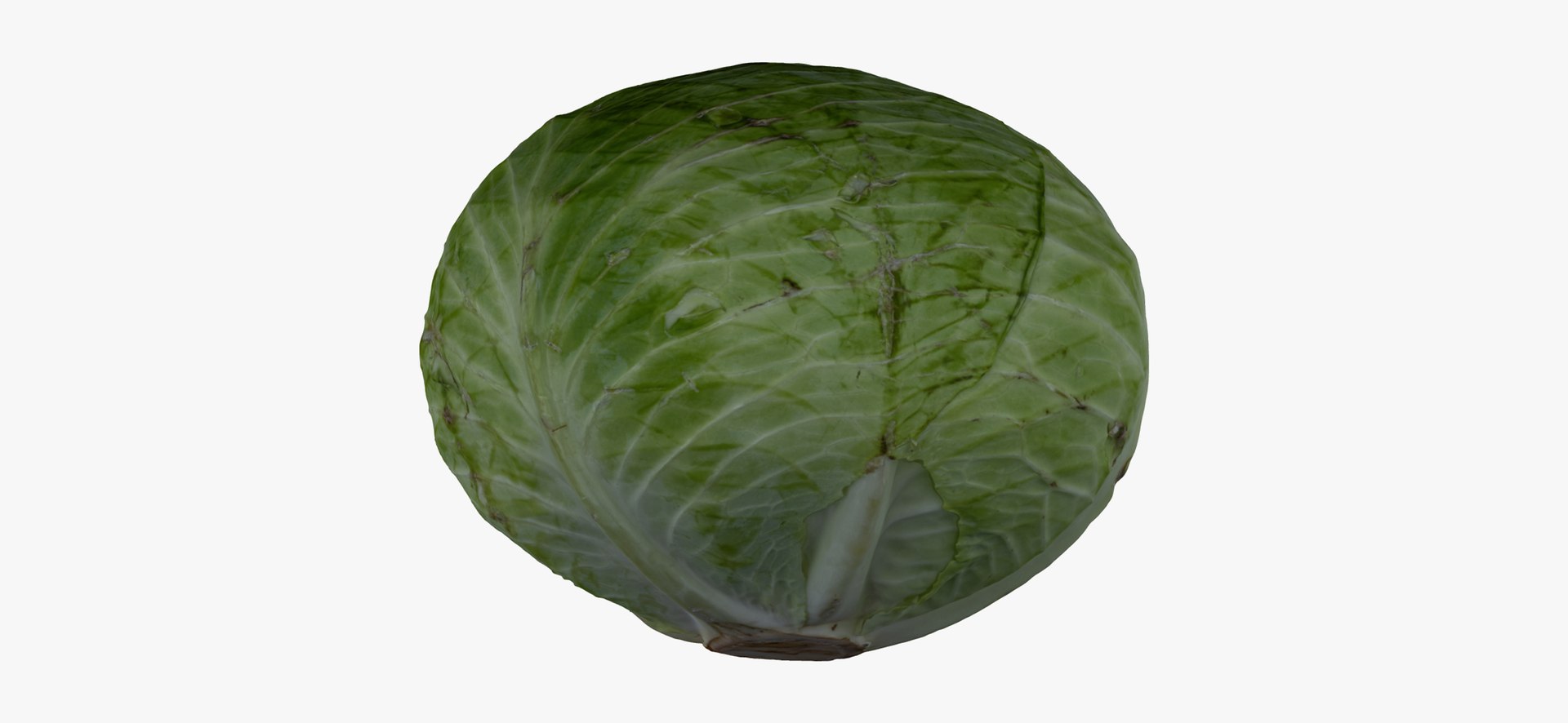 3D Cabbages Collection 01 - 2 Models RAW Scans - TurboSquid 1877837