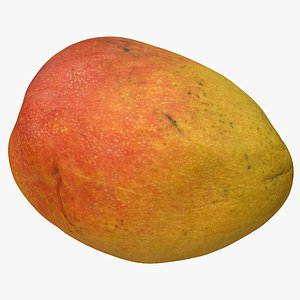 3D old mango