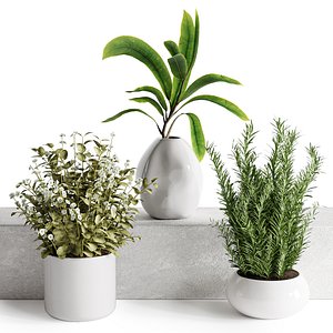 Bouquet45 model