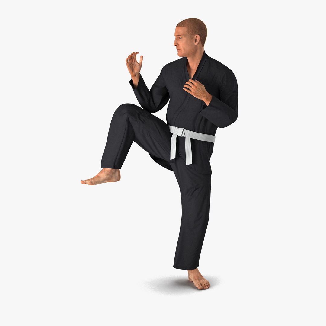 Karate Fighter Pose 3 Black Suit with Fur 3D Model 3D model preview