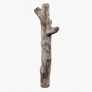 Scanned Trimmed Tree Wood 06 model