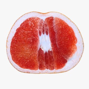 Grapefruit half 3D model