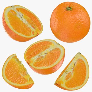 3D Orange Collection model