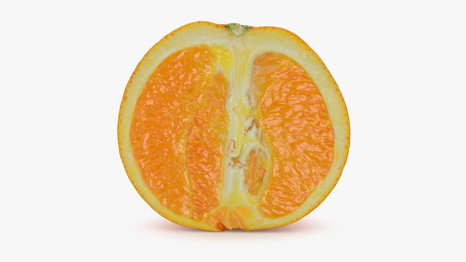 3D Orange Collection model https://p.turbosquid.com/ts-thumb/Z4/aJlHEM/jm/orangecut1/jpg/1717683458/1920x1080/turn_fit_q99/88ffcd28f95bab676737e7135c3b08de5c4c8add/orangecut1-1.jpg