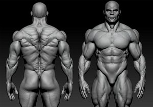 base mesh bodybuilder
