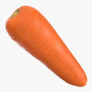 Fresh Carrot 01
