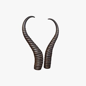 Horn V3