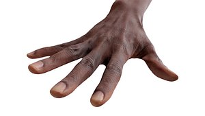 3D Retopologized 3D Hand scan of Eddison Bates model