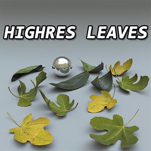 Leaves Set High Resolution